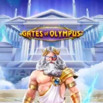 The Gate of Olympus Game is at the Peak of Popularity in Online gambling