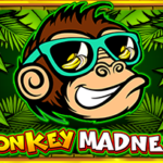 Monkey Madness: Exciting Adventures with Cute Primates in the World