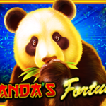 Pandas Fortune: Luck in the Fun Life of a Panda